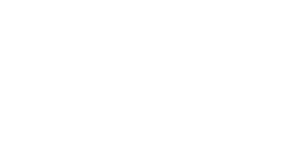 Bvmw Logo